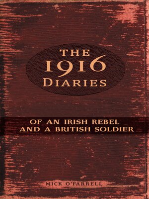 cover image of The 1916 Diaries of an Irish Rebel and a British Soldier